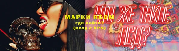 крисы Баксан