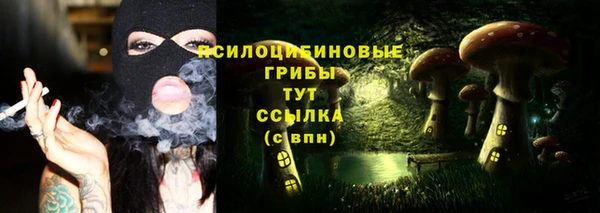 эйфоретик Армянск