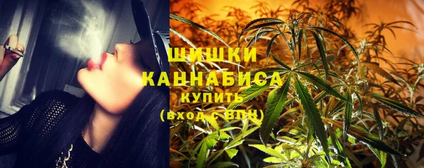 крисы Баксан