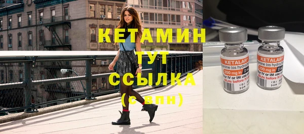 крисы Баксан