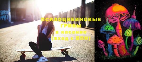 крисы Баксан